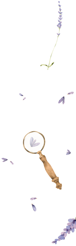 decoration