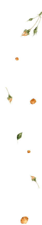 decoration